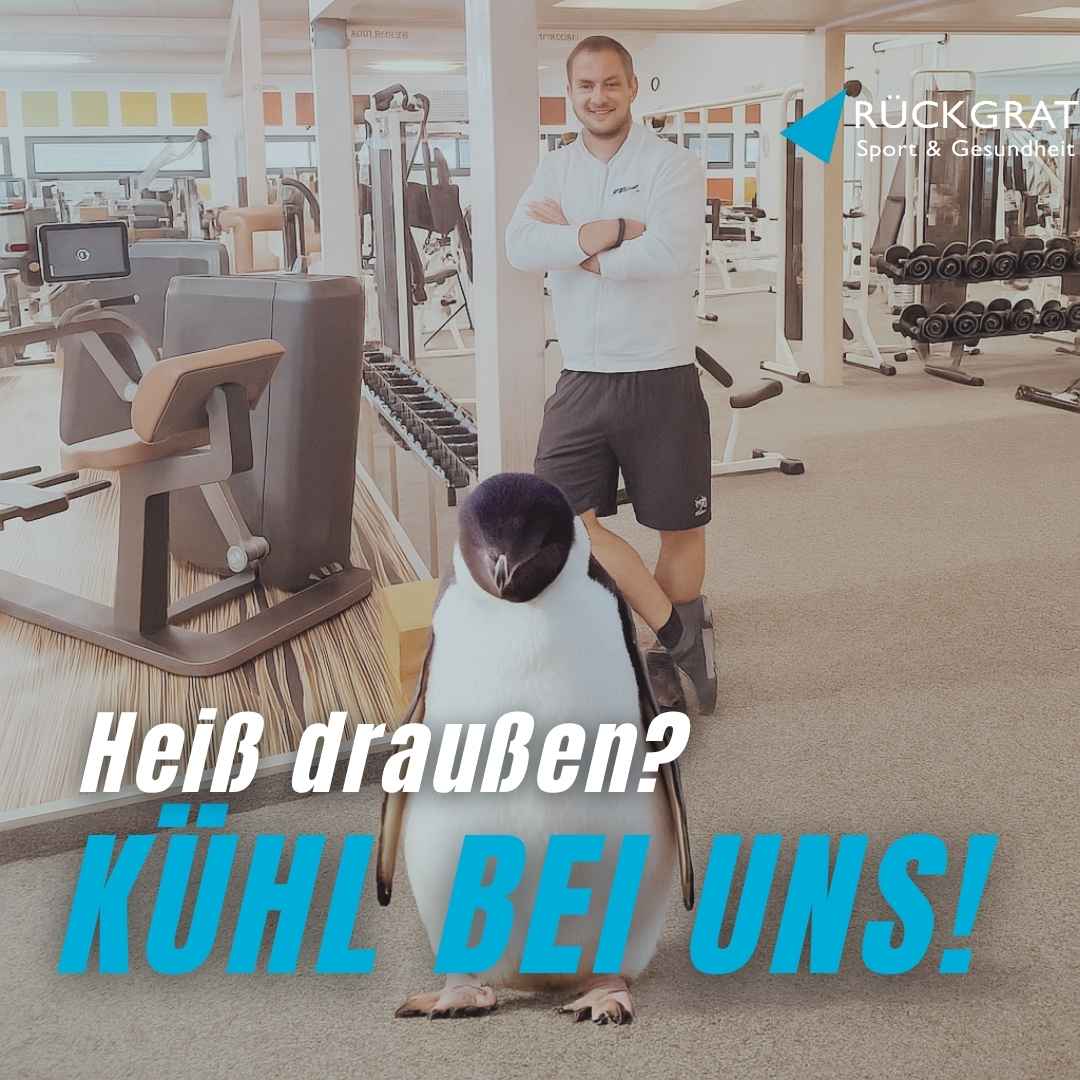 Fitness mit Klimaanlage