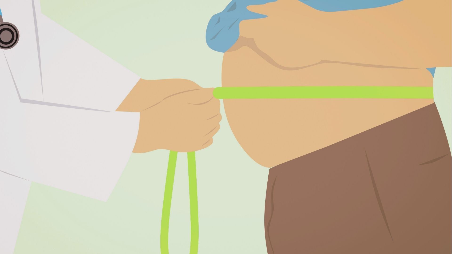 Viszerales Bauchfett Header